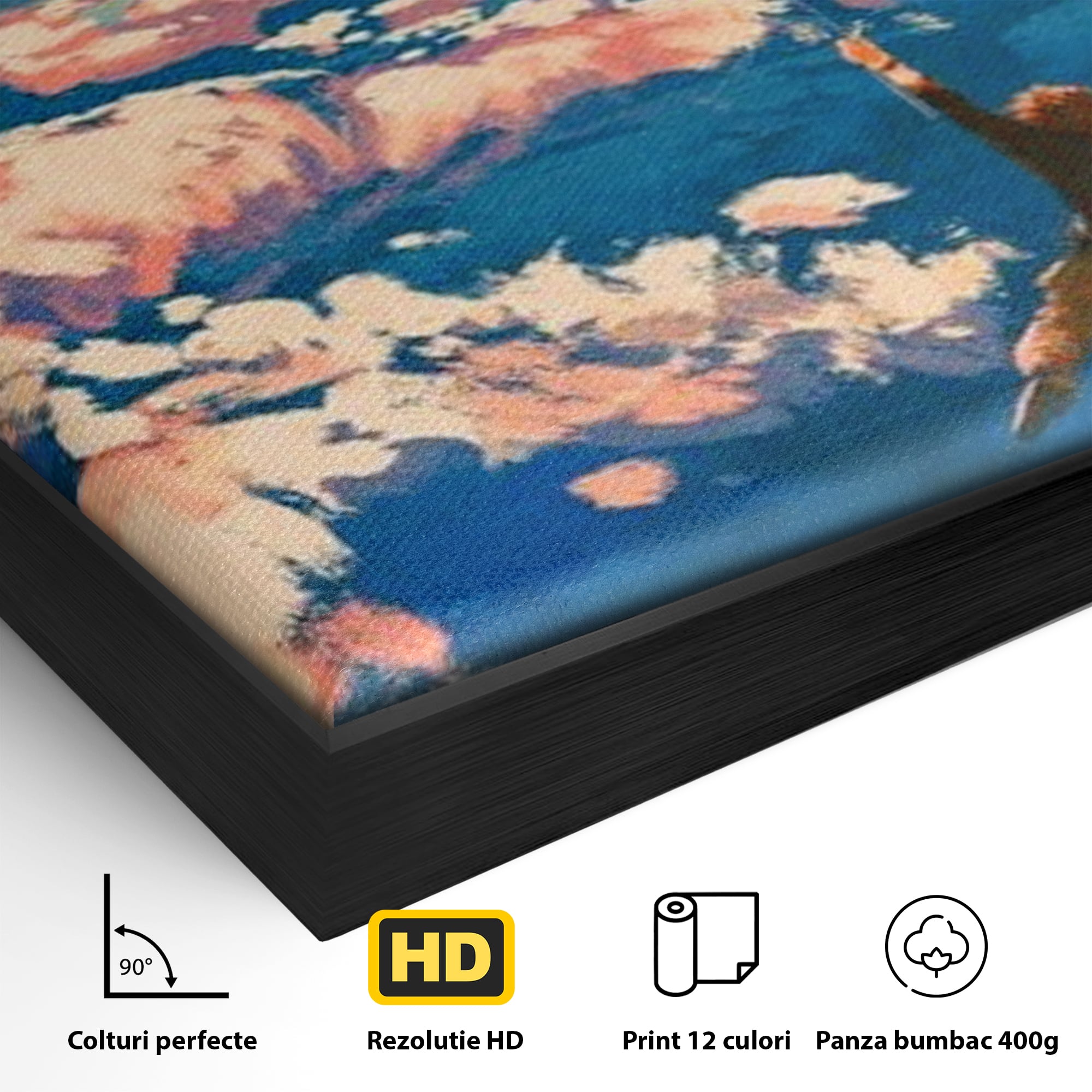 Detaliu al suprafetei: tablou canvas cu om zburand cu baloane, in rama de aluminiu negru